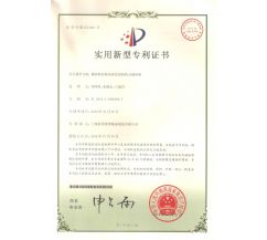Patent certificate_10